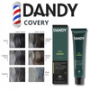 Dandy Krem Koloryzujący Cover Odsiwiacz dla mężczyzn Nr 4 Kasztan 60ml